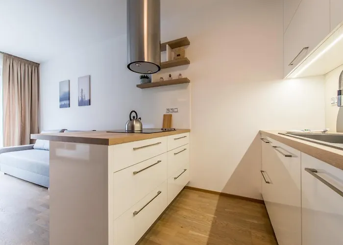 Mozart With Garage Apartment Prague